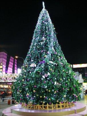 Christmas tree. Photo: Yumo Chen
