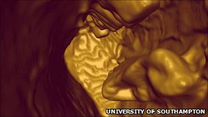 Pliosaur scan (University of Southampton)