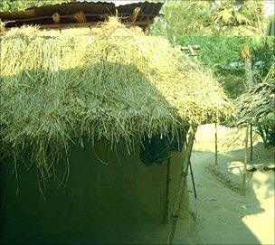 Sufia Begum's home in Rajshahi district, north-western Bangladesh
