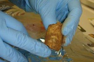 A fragment of Neanderthal bone found at the El Sidron site