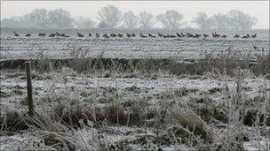 Wildfowl Shooting - Containing Chapters On