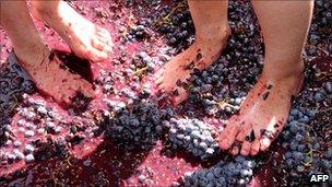Armenian girls tread grapes with their feet
