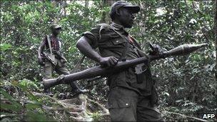 FDLR fighters in eastern DR Congo