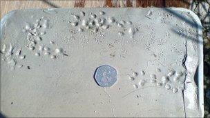 Mink footprints (Jamie Urquhart)