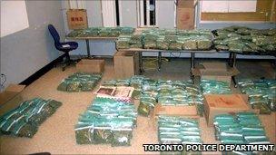 Marijuana allegedly seized from Pizza Gigi - Toronto police department handout image
