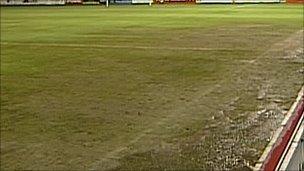 Exeter City FC pitch