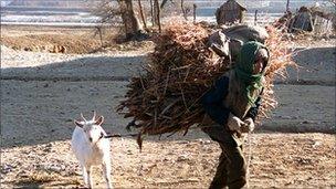 File image of worker carrying hay in Taziri, North Korea, in December 1995