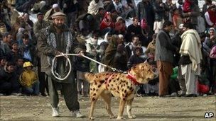 Afghan man with fighting dog, Kabul (18 Feb 2011)