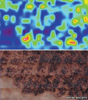 Infra-red (top) and actual image of the fossilised skin sample (Image: Royal Society)