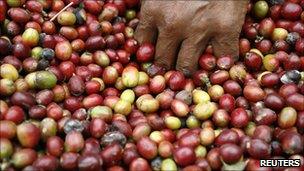 Coffee beans, Reuters
