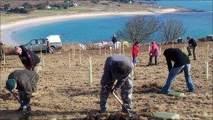 Tree planting in Alderney
