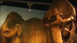 The Shropshire Mammoth