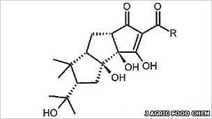 Tricyclocohumol (Journal of Agricultural and Food Chemistry)