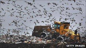 Gulls fly around as a bulldozer compacts freshly dumped rubbish at a landfill site in Gloucester