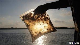 A man holds a plastic bag, with oil from the Deepwater Horizon gulf oil spill