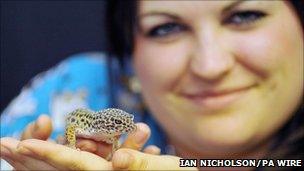 Phillipa Durrant with Sahara the gecko