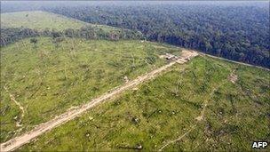 Aerial picture on 29 November 29, 2009 shows a sector of the Amazon forest, in the state of Para, in northern Brazil, illegally deforested