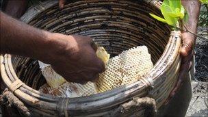 Honey combs