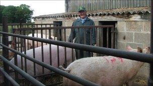 Ivan Taylor in the pig pens