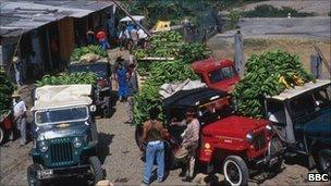 Banana lorries in Colombia