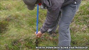 Survey work is being undertaken on an area of peat bog in Cumbria