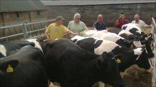 Berkshire dairy farmer sells up because of milk prices - BBC News