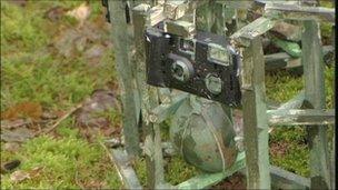 One of the 30 trip wire cameras