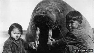 circa 1930: Two Inuit children at Point Barrow, Alaska, holding the tusks of a large walrus, probably killed for food.