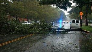 A fallen tree blocks the road. Photo: Hadyn Lassiter