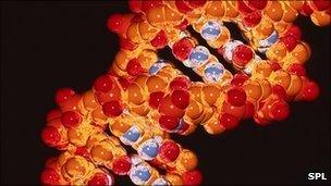 strwythyr DNA
