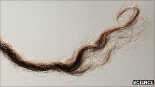 Lock of Aboriginal hair