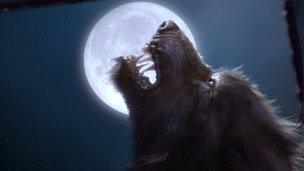 A werewolf and full moon