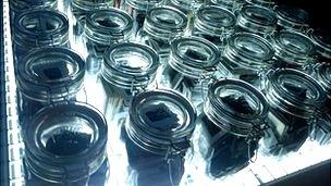Rows of jars