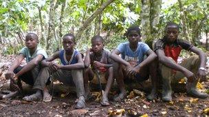 Child labourers on a cocoa farm