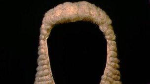 A judge's wig