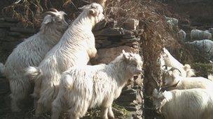 Poor rural villages show China's economic dilemma - BBC News