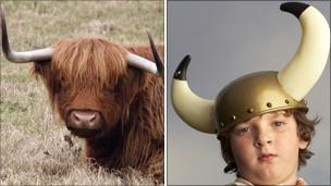 Highland cow and boy in Viking helmet