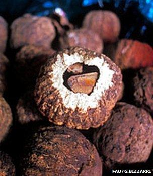 Brazil nuts (Image: FAO/Giuseppe Bizzarri)