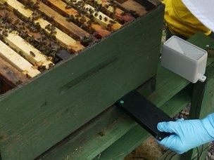 Monitor being inserted in hive