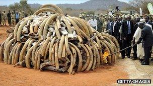 President Kibaki sets on a fire a stockpile of ivory