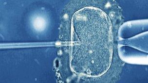 Micrograff golau o wy dynol ar fin cael ei chwistrellu
