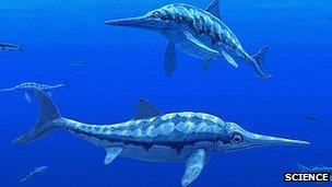 Ichthyosaurs - artist's impression