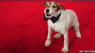 Uggie from The Artist