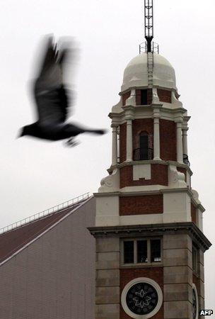 Bird flying past tower