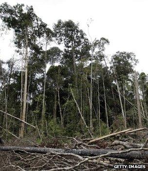 Degraded tropical forest (Getty Images)