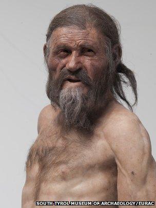 oetzi the iceman s nuclear genome gives