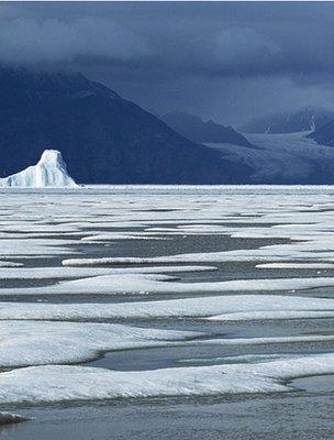 Arctic sea-ice (Image: BBC)