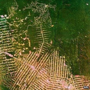 Satellite photo of logging patterns in the Amazon