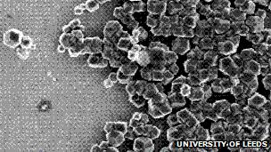 Magnets inside magnetic bacteria