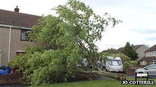 Tree damage in Kidlington